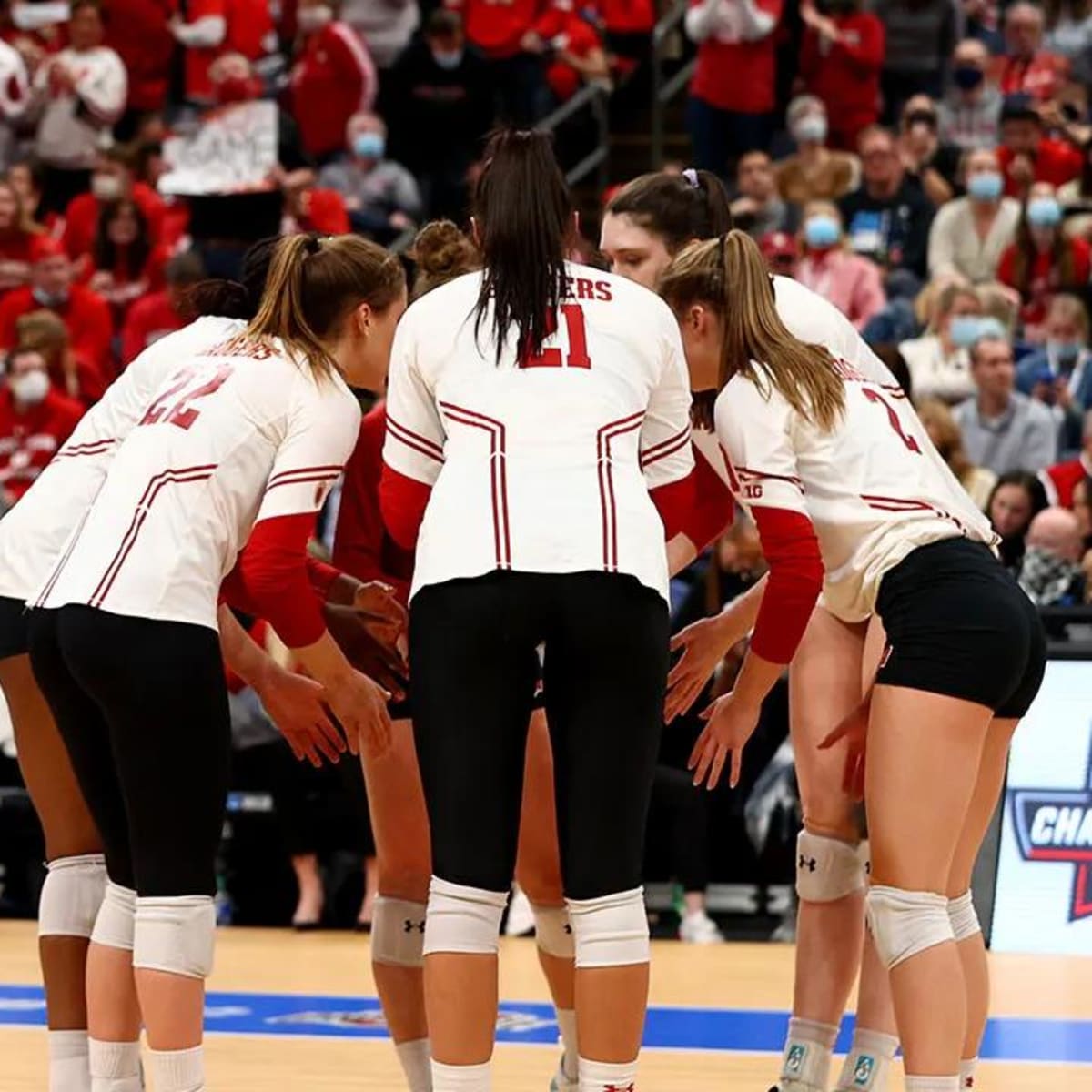 Watch Wisconsin Badgers at Arkansas Razorbacks in Volleyball - How to Watch and Stream Major League and College Sports
