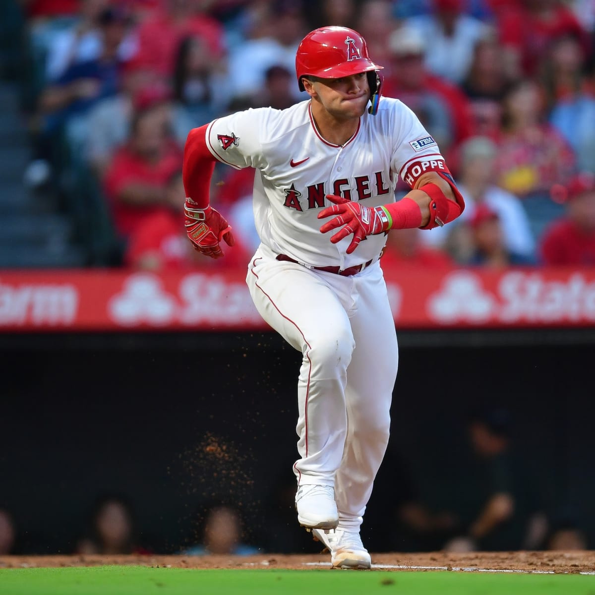 LI's Logan O'Hoppe gets back into Angels lineup after recovering from  labrum tear - Newsday