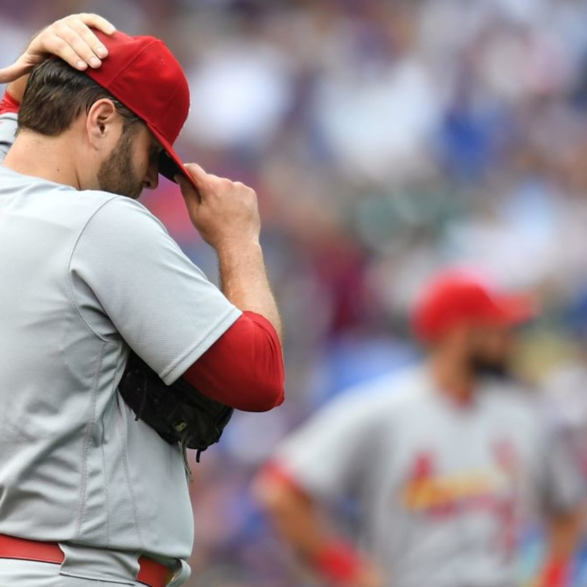 Cardinals Could Try To Sign Frontline Starter Reportedly Entering Free  Agency - Sports Illustrated Saint Louis Cardinals News, Analysis and More
