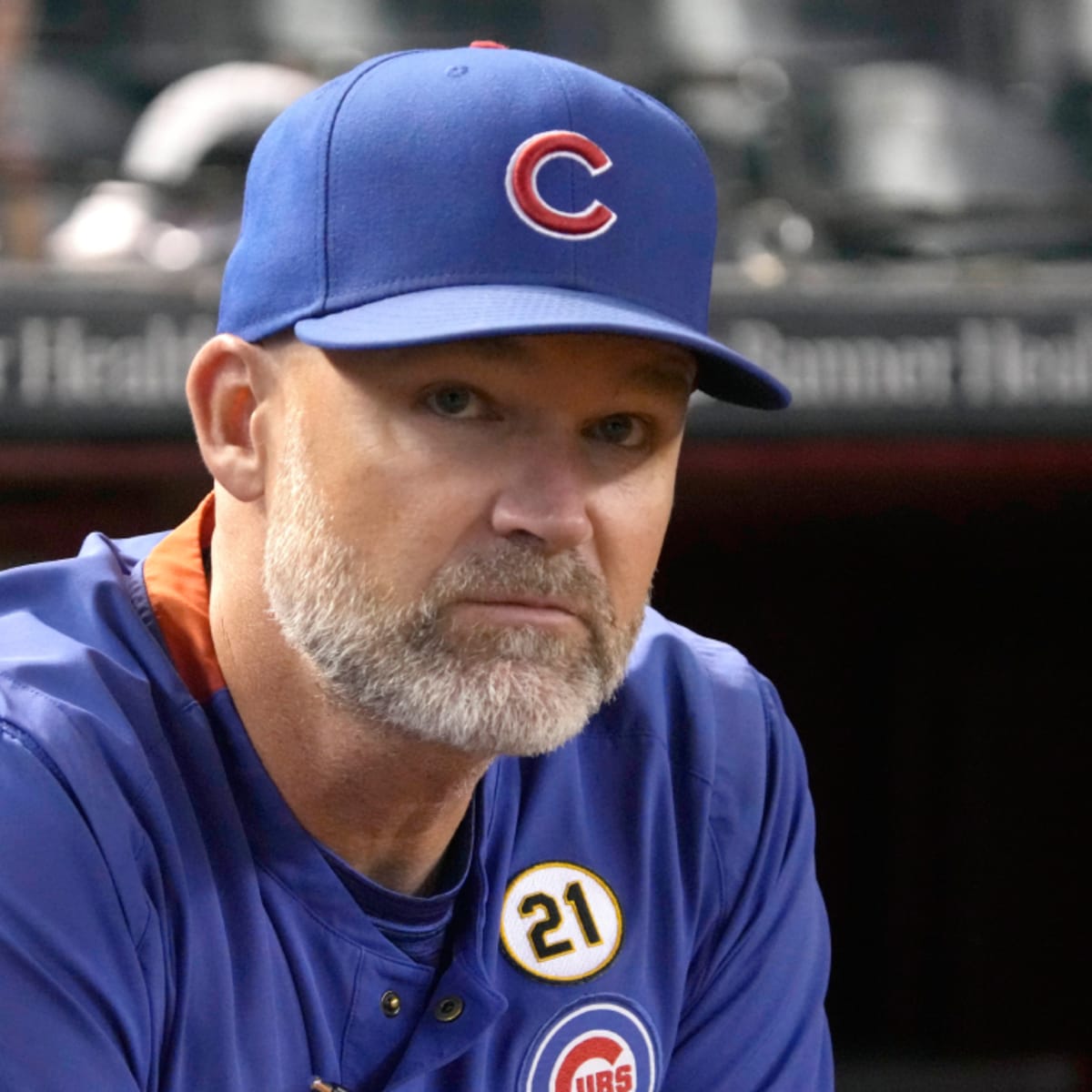 A few midseason thoughts about David Ross as Cubs manager - Bleed