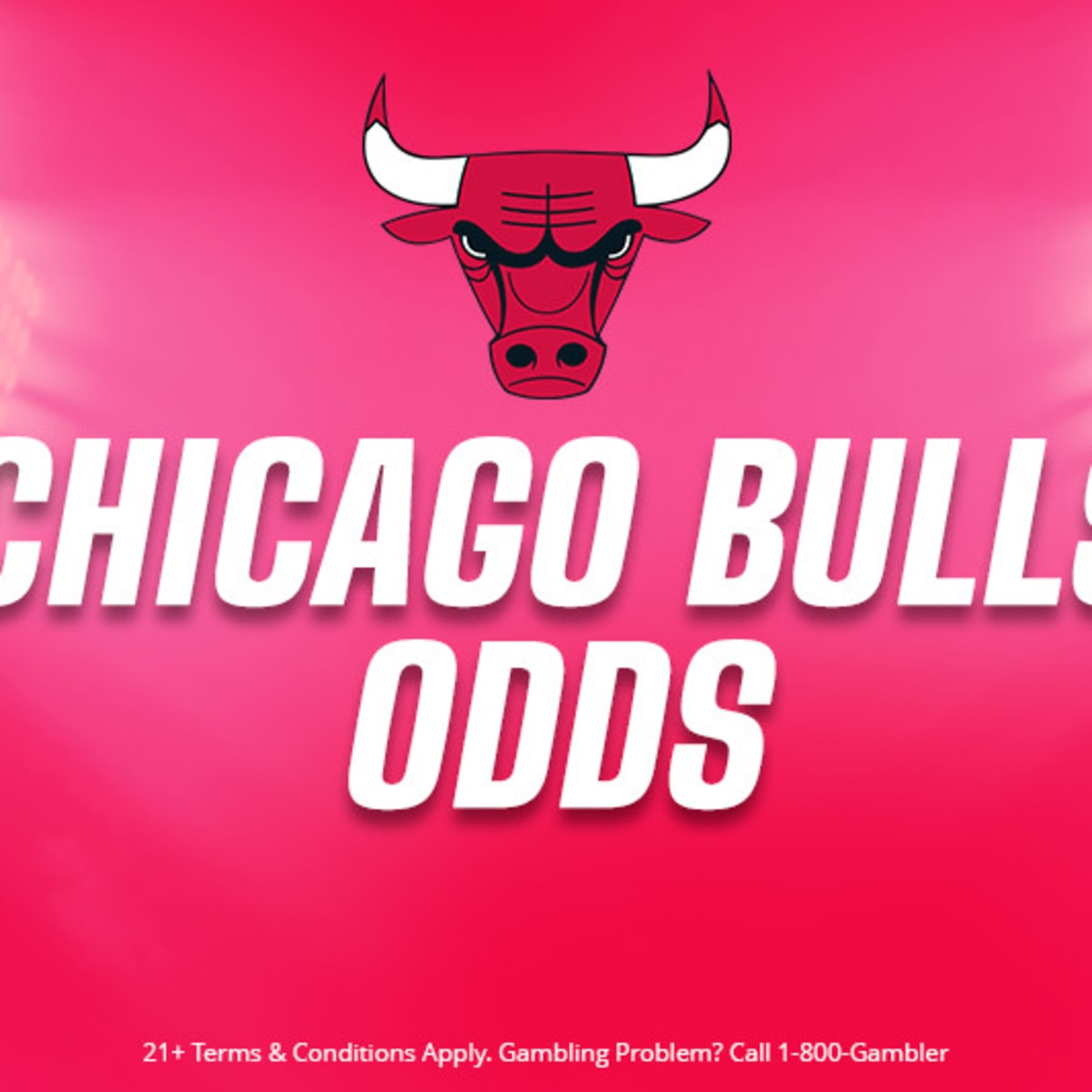Chicago Bulls - NBA