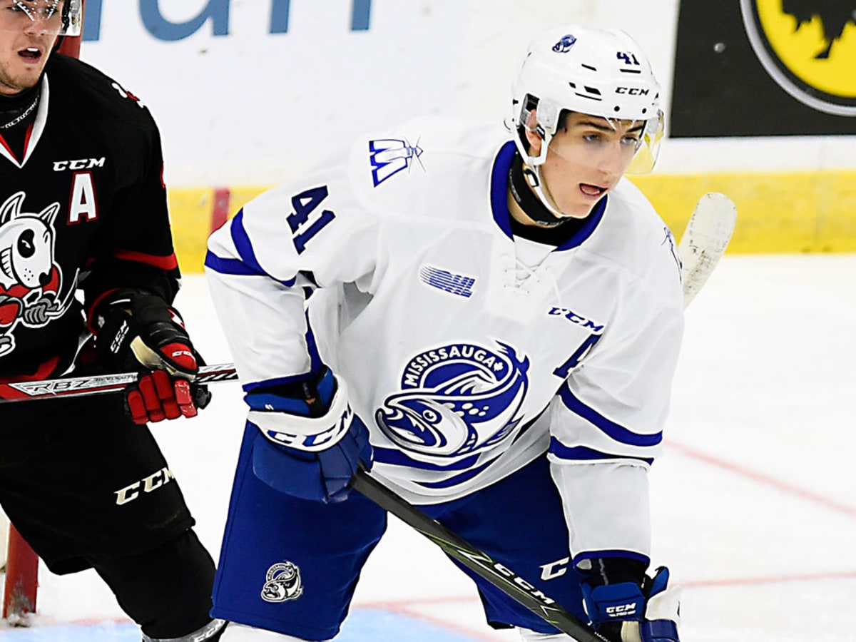 NHL draft Prospects on the year leading up to the big pic