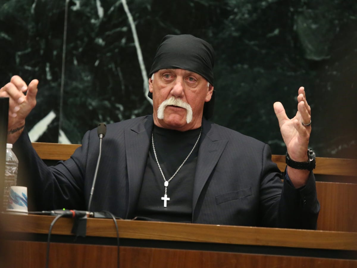 Hulk Hogan vs Gawker The lawsuits explained pic