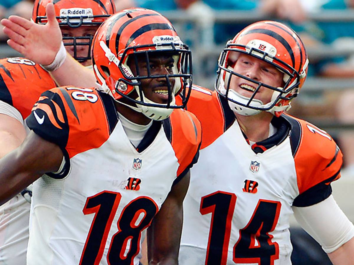 Andrew Perloff: Cincinnati Bengals 2013 Offseason Preview - Sports  Illustrated