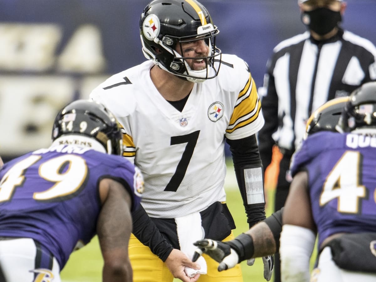 How do ravens entertain. How do ravens entertain. How do ravens entertain. вороны в тауэре в лондоне. клетки вороны тауэра.