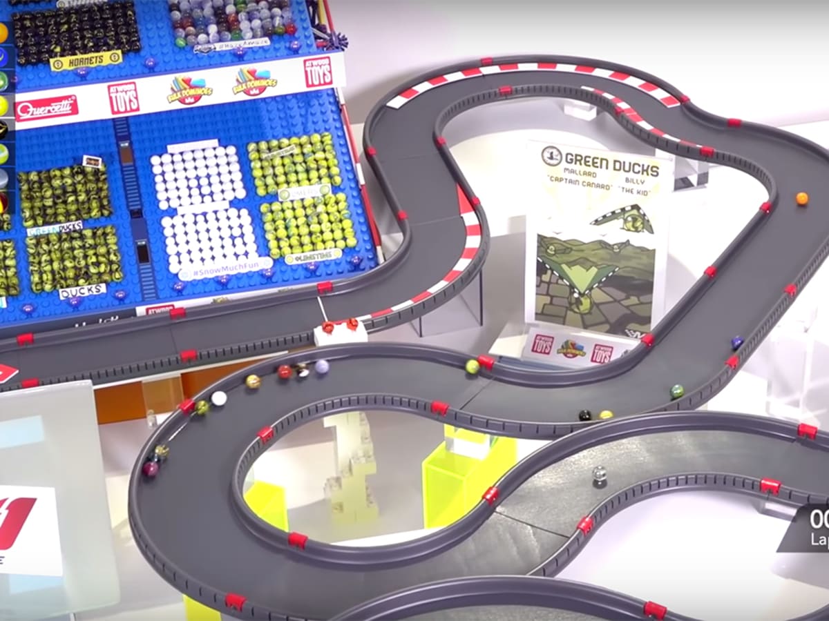 Marble racing: Why sport is so popular 