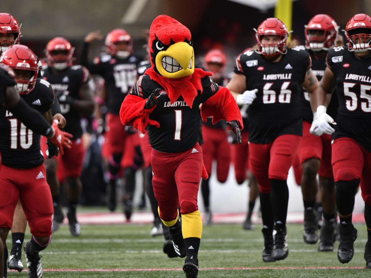 1 Yard & 16” X 42” U Of L Louisville Cardinals College Sports