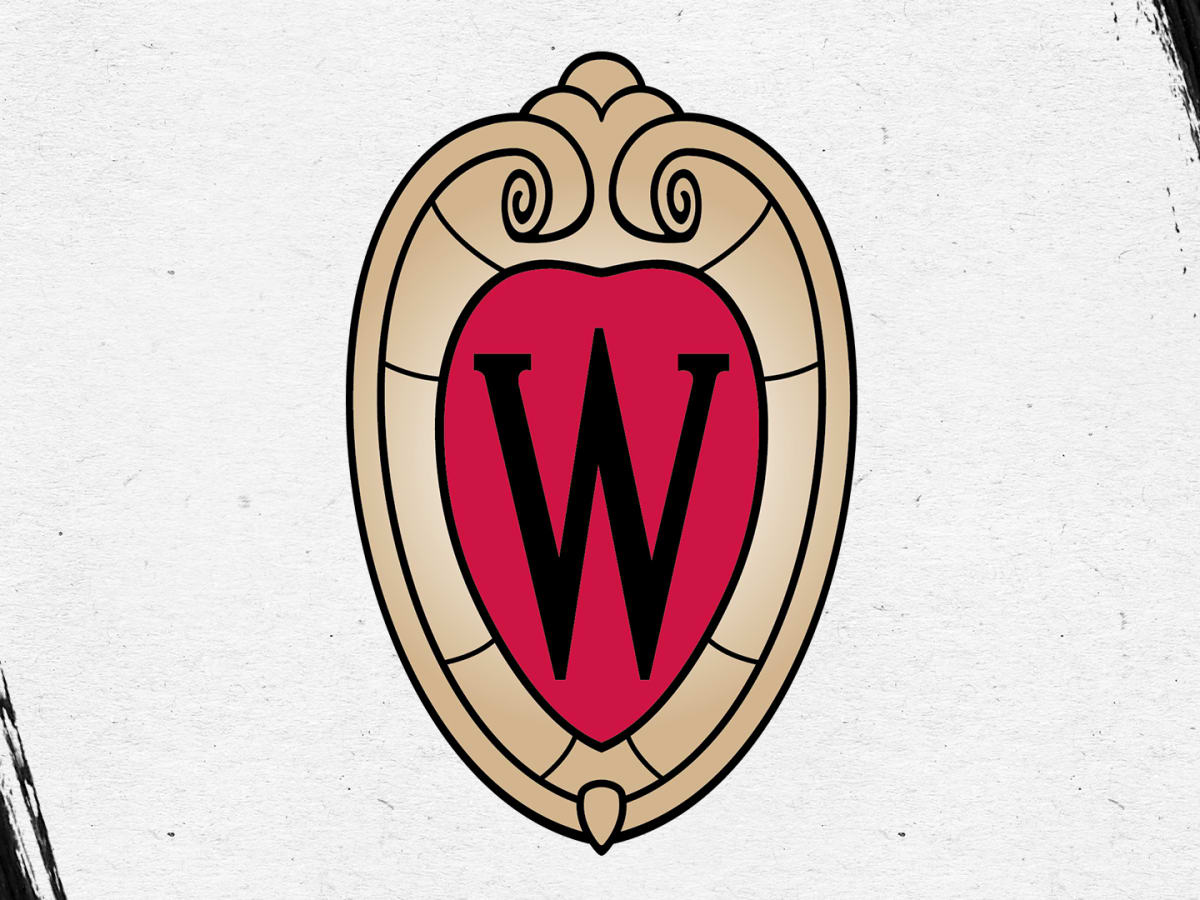 10k White Gold University of Wisconsin Badgers School Letter Logo Post Earrings 