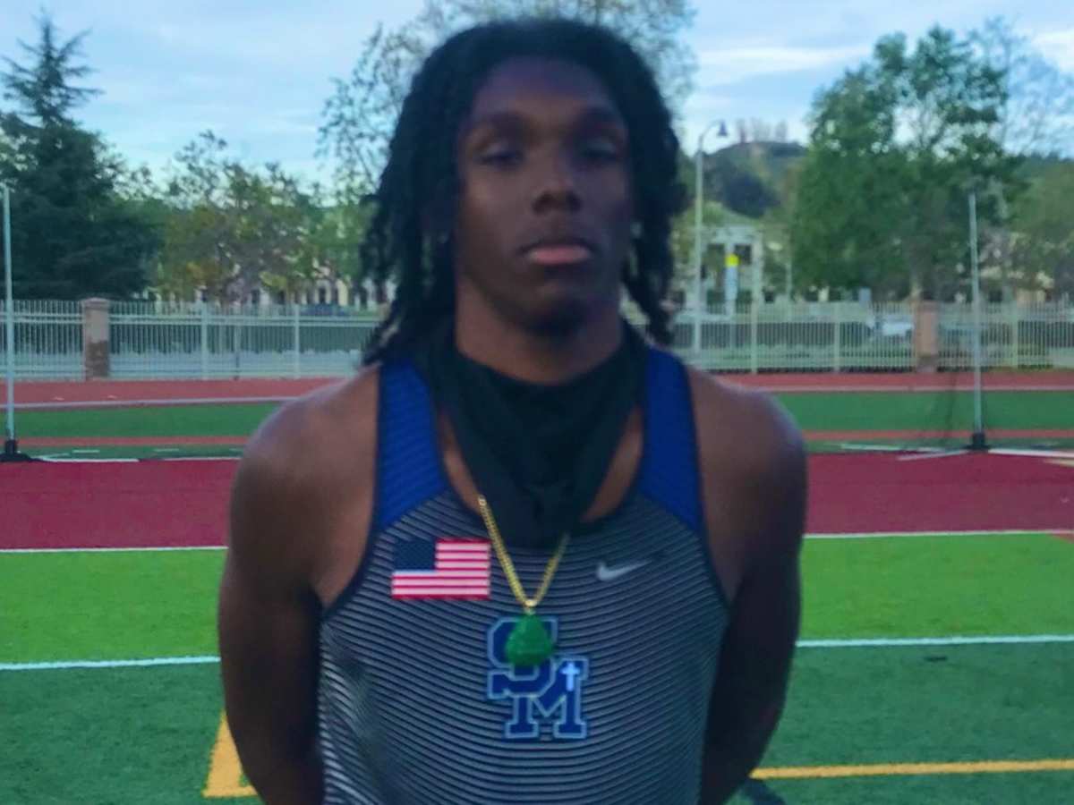 Margarita larue - www.openvalidation.io