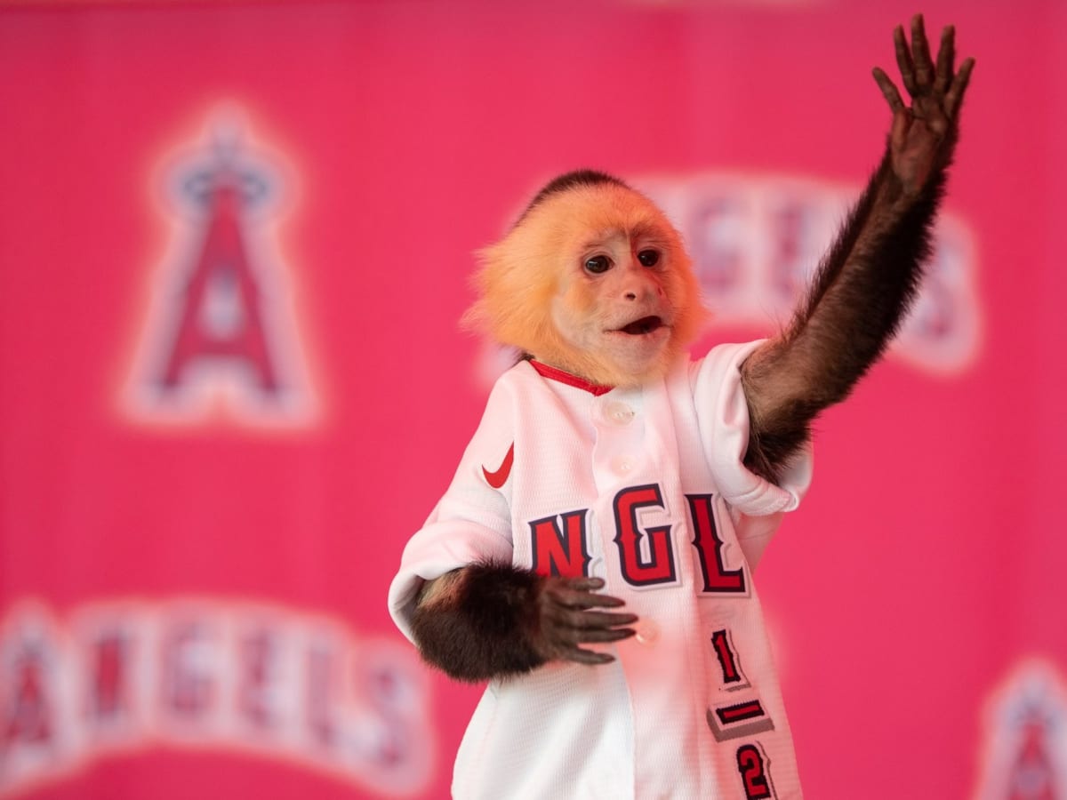 Emmy Award Actor Furious with Angels Over This Game Ritual - Los Angeles  Angels