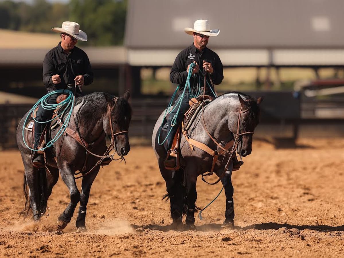 Revolutionizing Team Roping: The Bold Impact of Futurities on the
