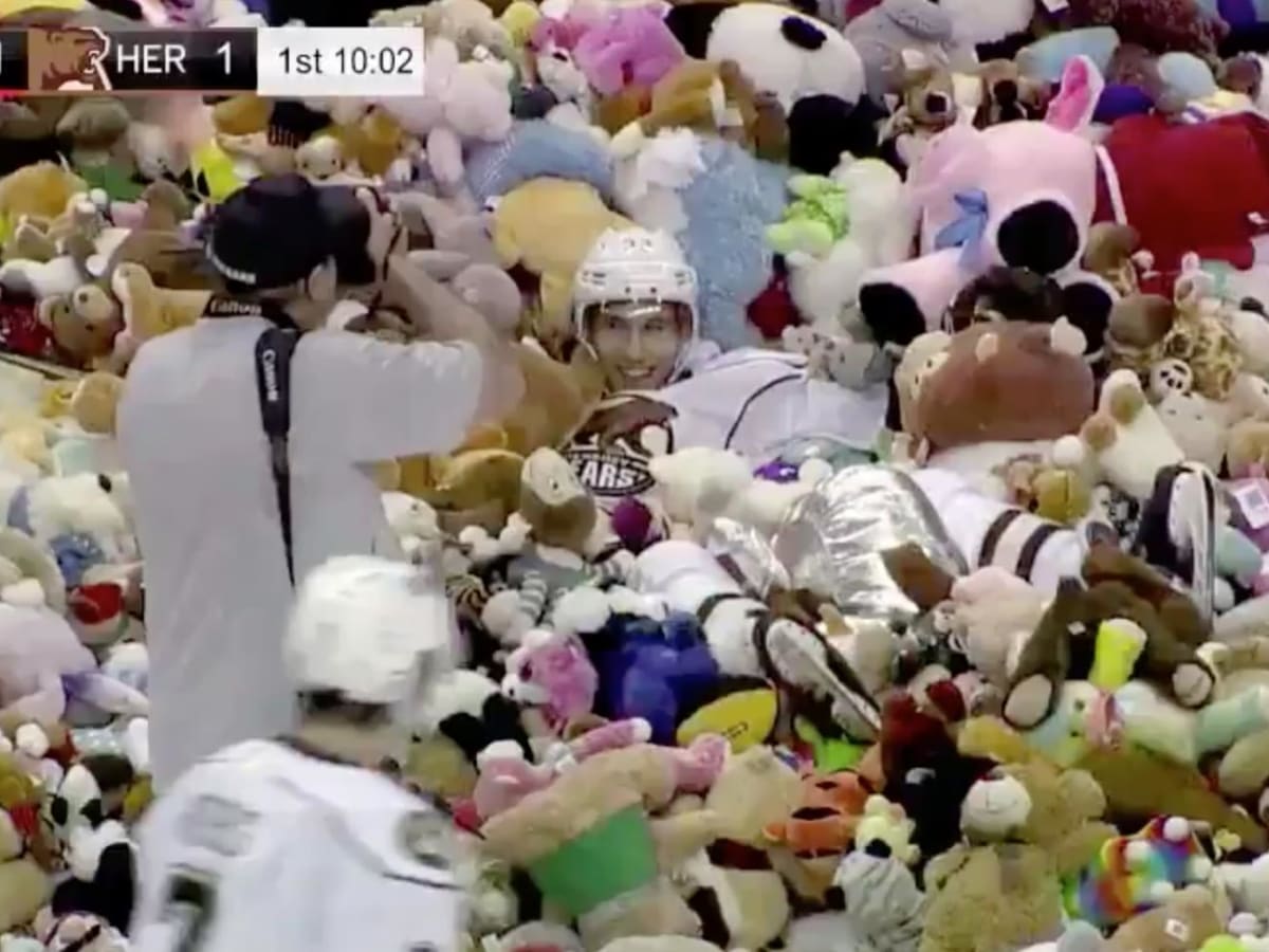 Hershey Bears fans set record by throwing 45,650 bears on ice