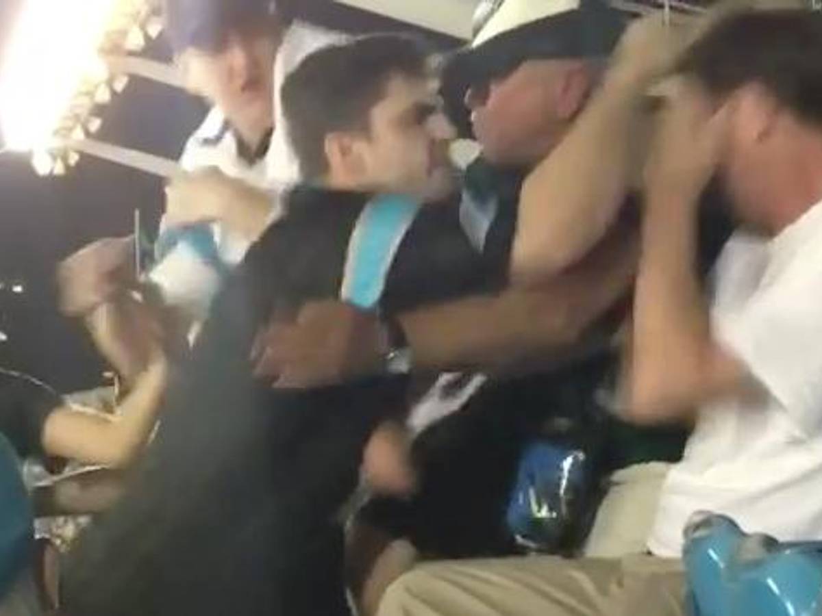 Panthers fan fight: Man punched in face (video) - Sports Illustrated