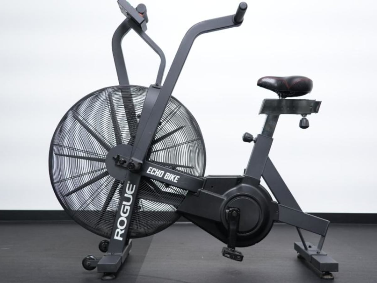 Rogue Echo Bike Review 2024: Is This Air Bike Right for Your Home Gym? -  Sports Illustrated