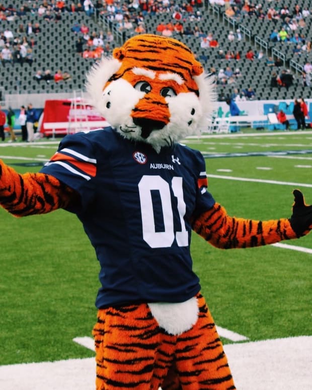Aubie the Tiger poses during pregame festivities at the Birmingham Bowl.