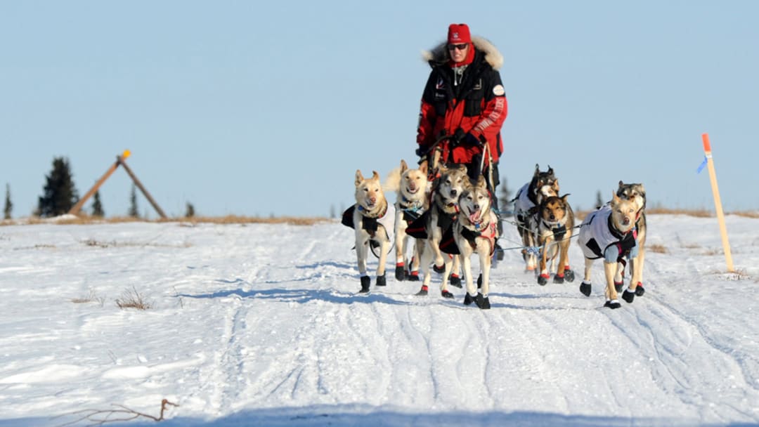 Iditarod veteran Aliy Zirkle seeks title after three second place finishes