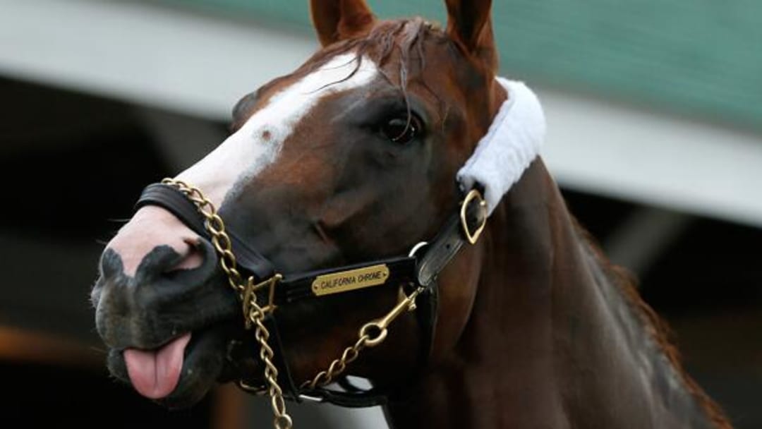 California Chrome wins 2014 Kentucky Derby