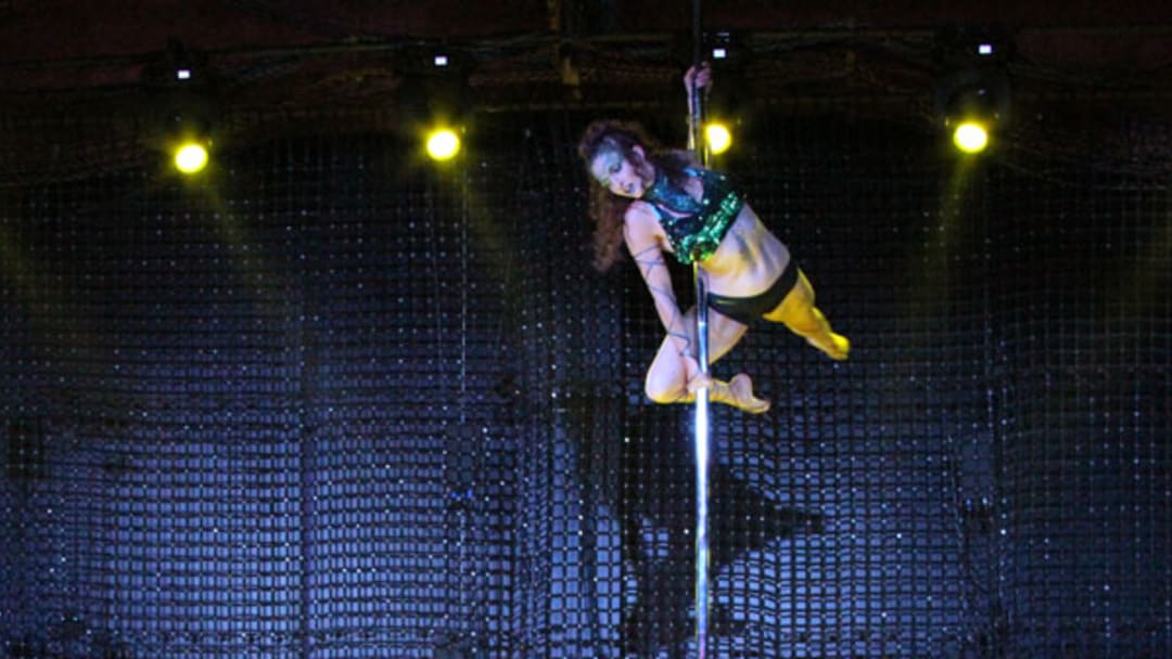 Call It Art: A View from Inside the National Aerial Pole Art Championship