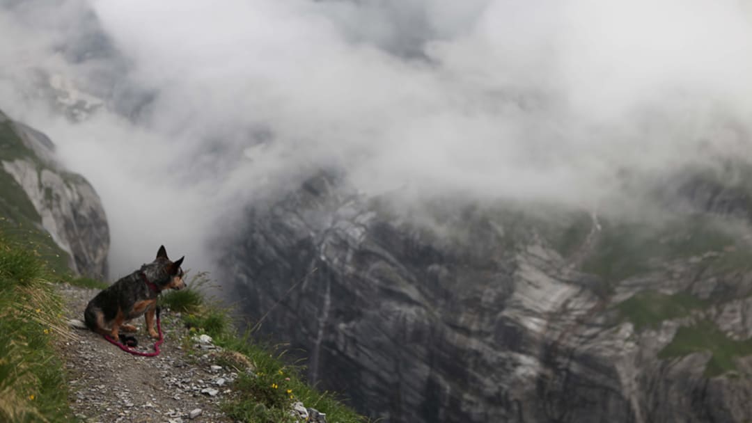 Extra Reps: SI Edge's Weekly Picks