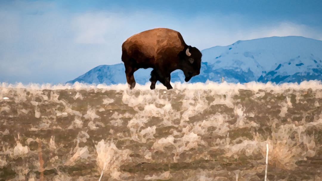 Night at the Boneyard: Part Four