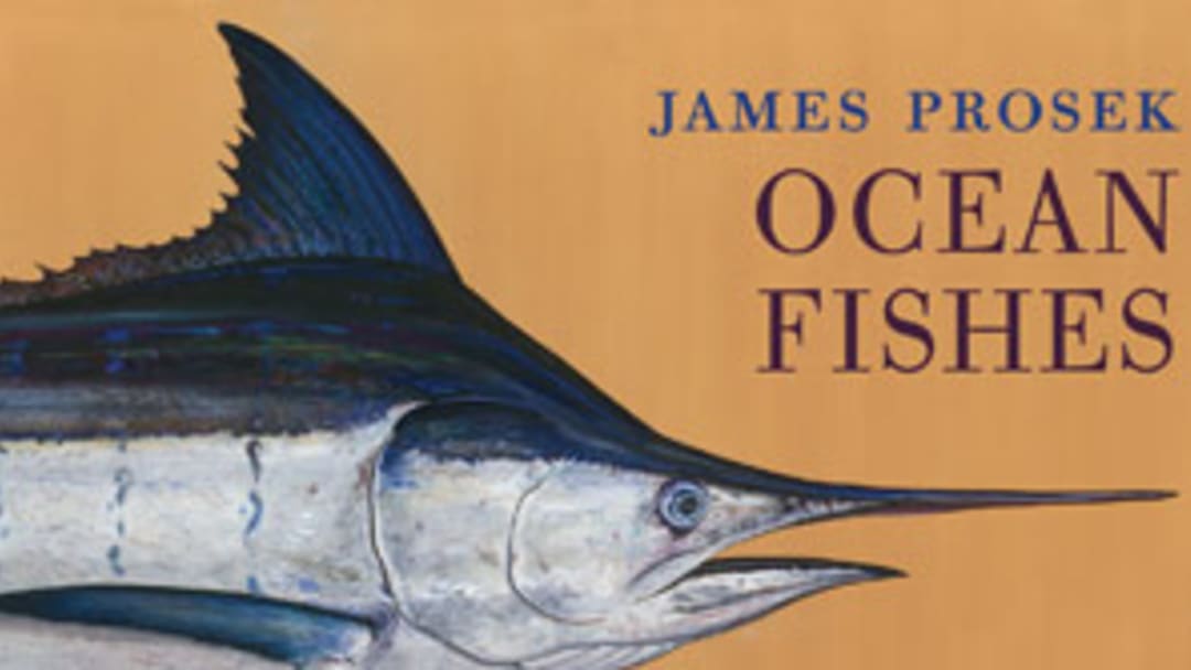 An excerpt from Ocean Fishes