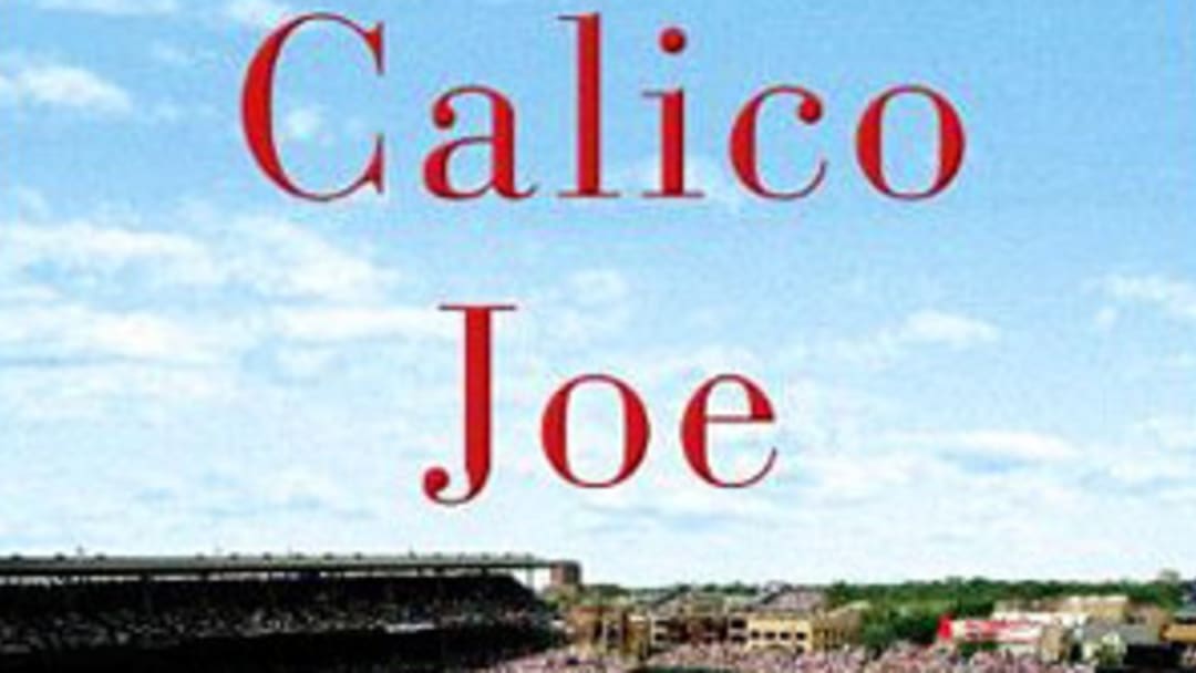 Exclusive excerpt: Calico Joe