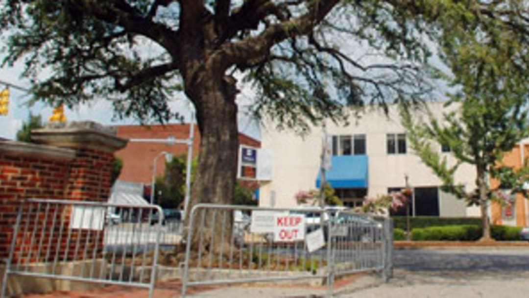 The sad saga of Harvey Updyke