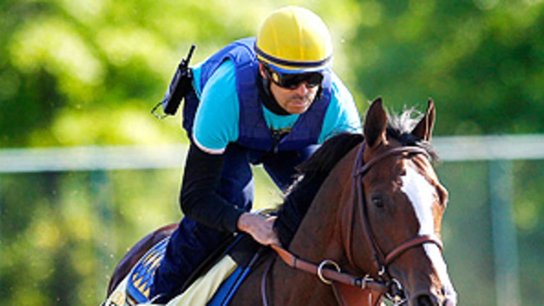 Handicapping the Preakness Stakes