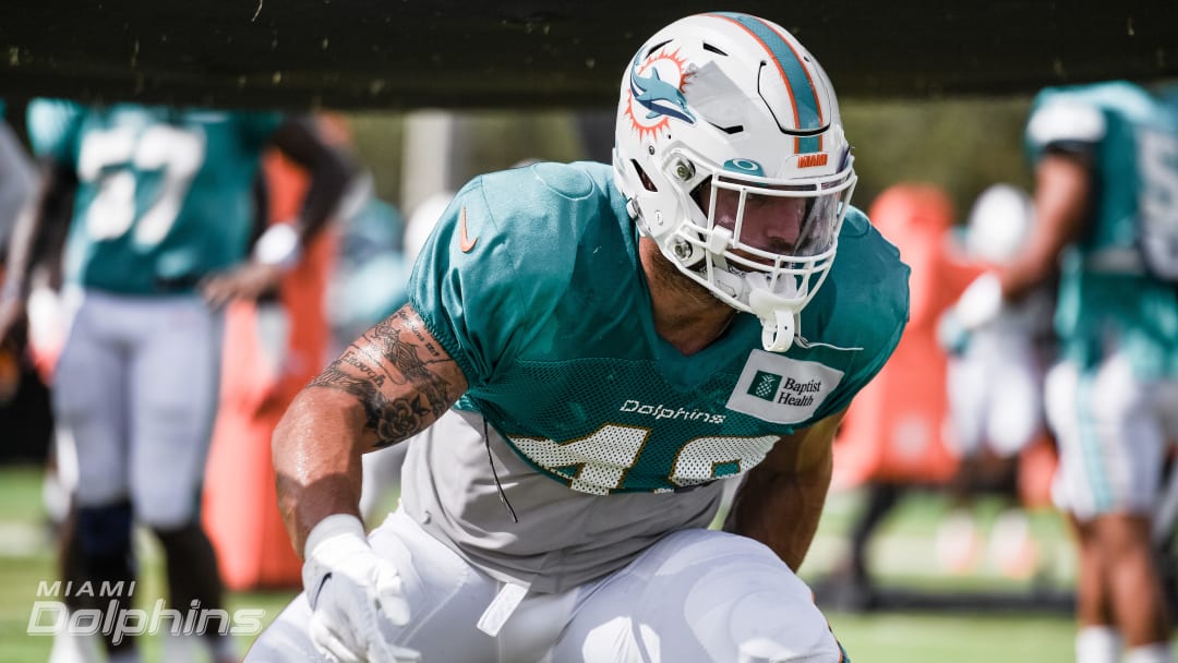 Dolphins Take Care of Some Business