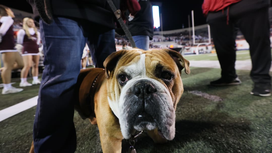 MSU Softball Shows Flashes in Bulldog Kickoff Classic, Davidson Captures HR Crown