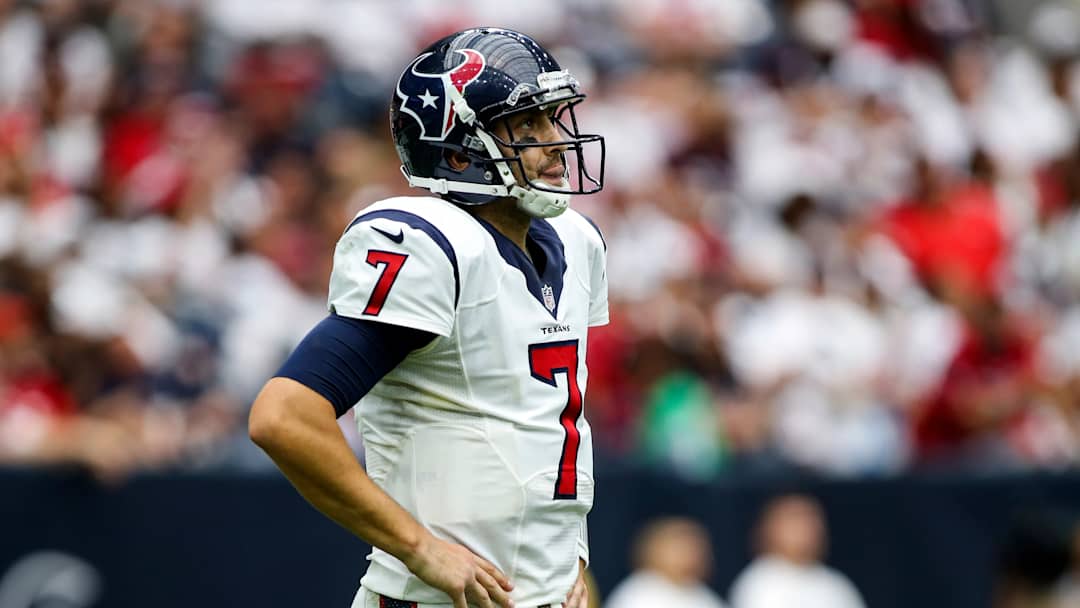 Would Texans Consider Brian Hoyer for Veteran QB Depth?