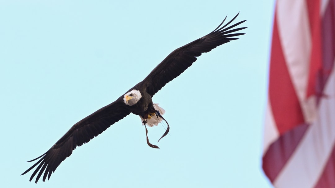 A War-Eagle welcome for #1 LSU baseball this Saturday night