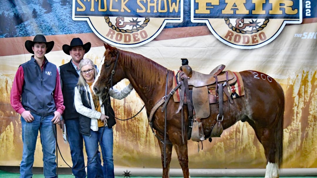 Anticipating Record-Breaking Success at the 2024 Black Hills Stock Show Horse Sale
