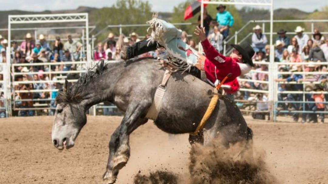 Workout Like a Professional Rodeo Athlete Workout Like a Professional Rodeo Athlete
