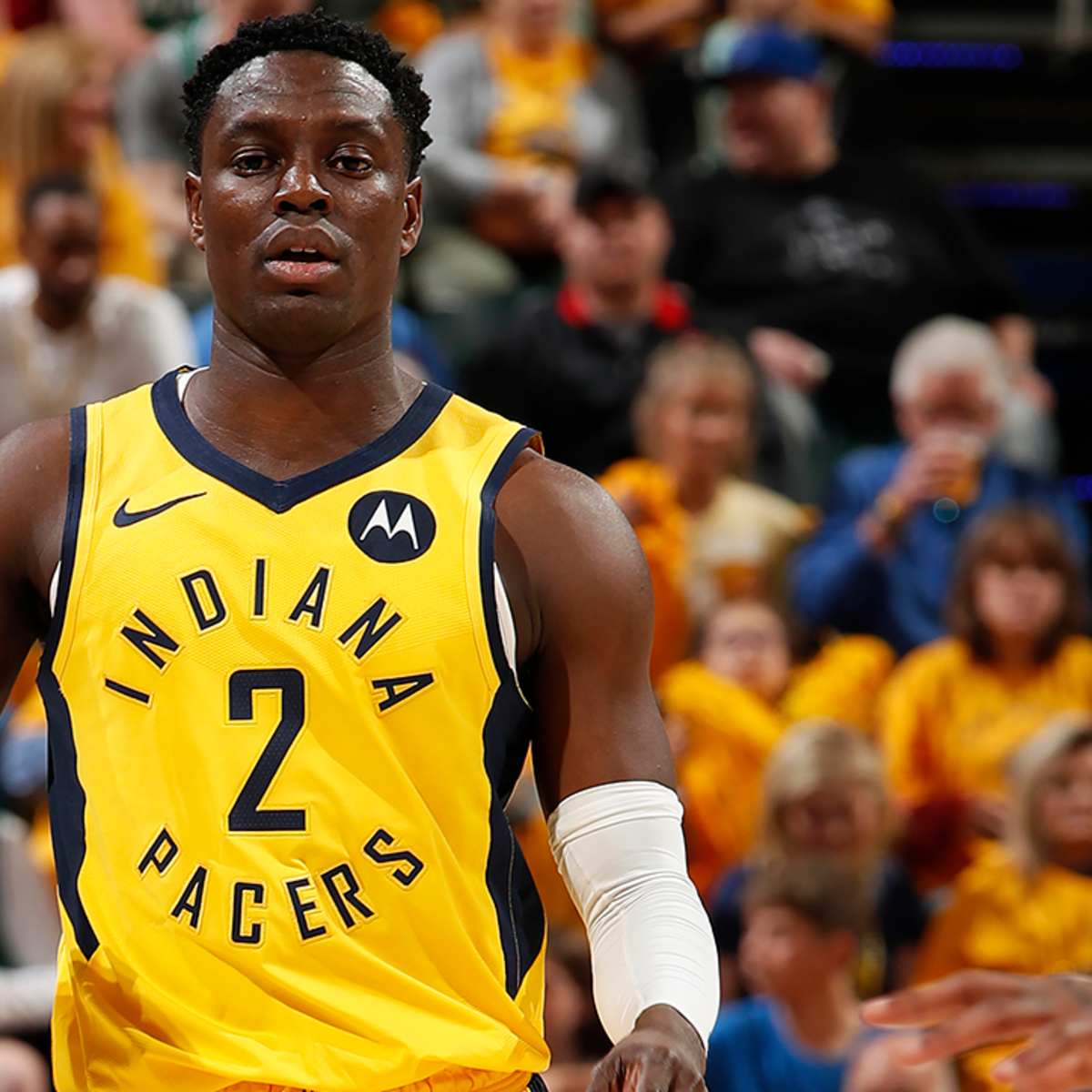 Darren Collison announces retirement from NBA after 10 years - Sports  Illustrated, image size:1200x1200