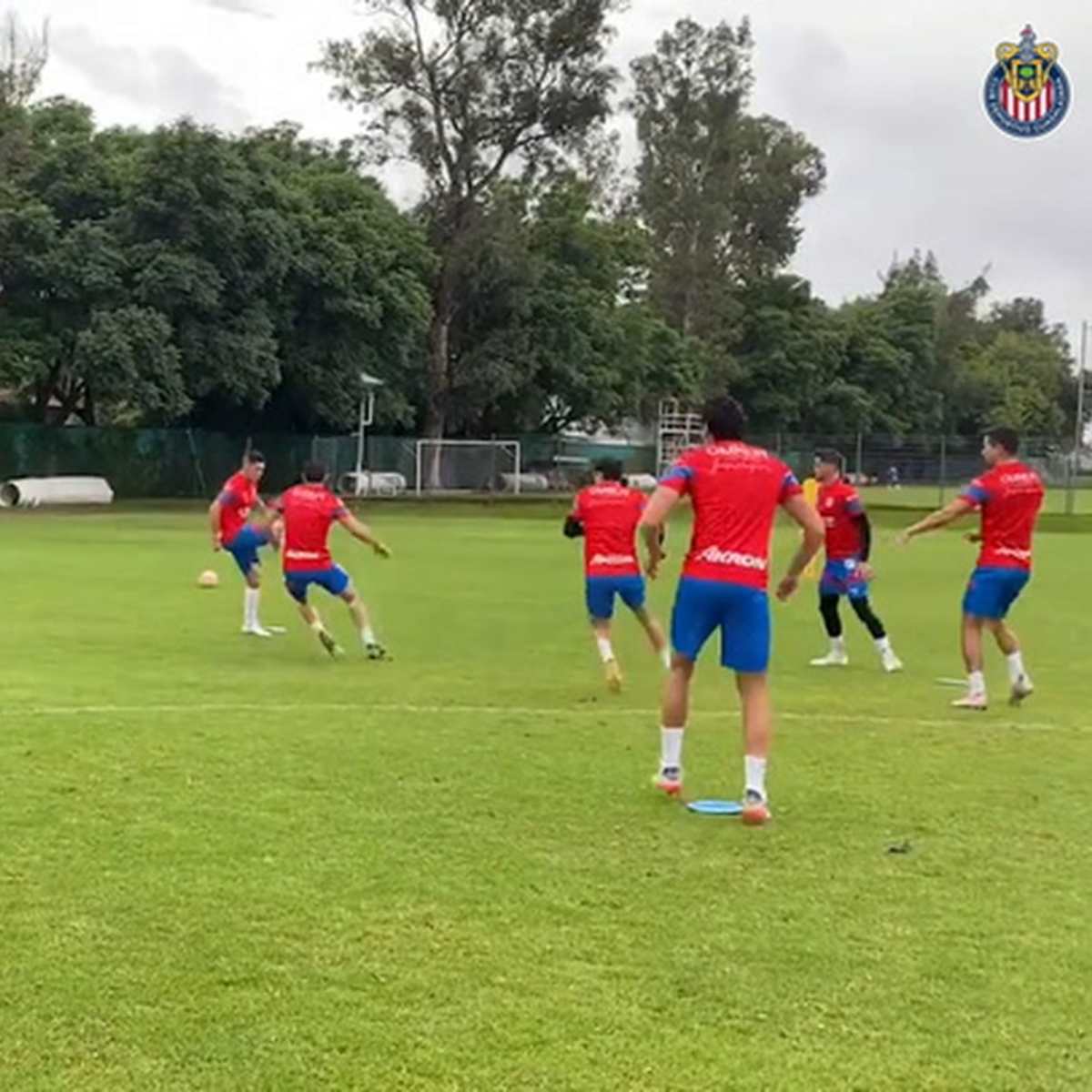 Chivas' quick rondos in training - Soccer - OneFootball on Sports  Illustrated