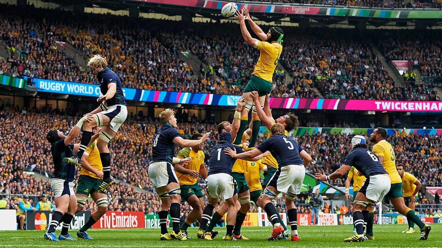 Scenes from the 2015 Rugby World Cup
