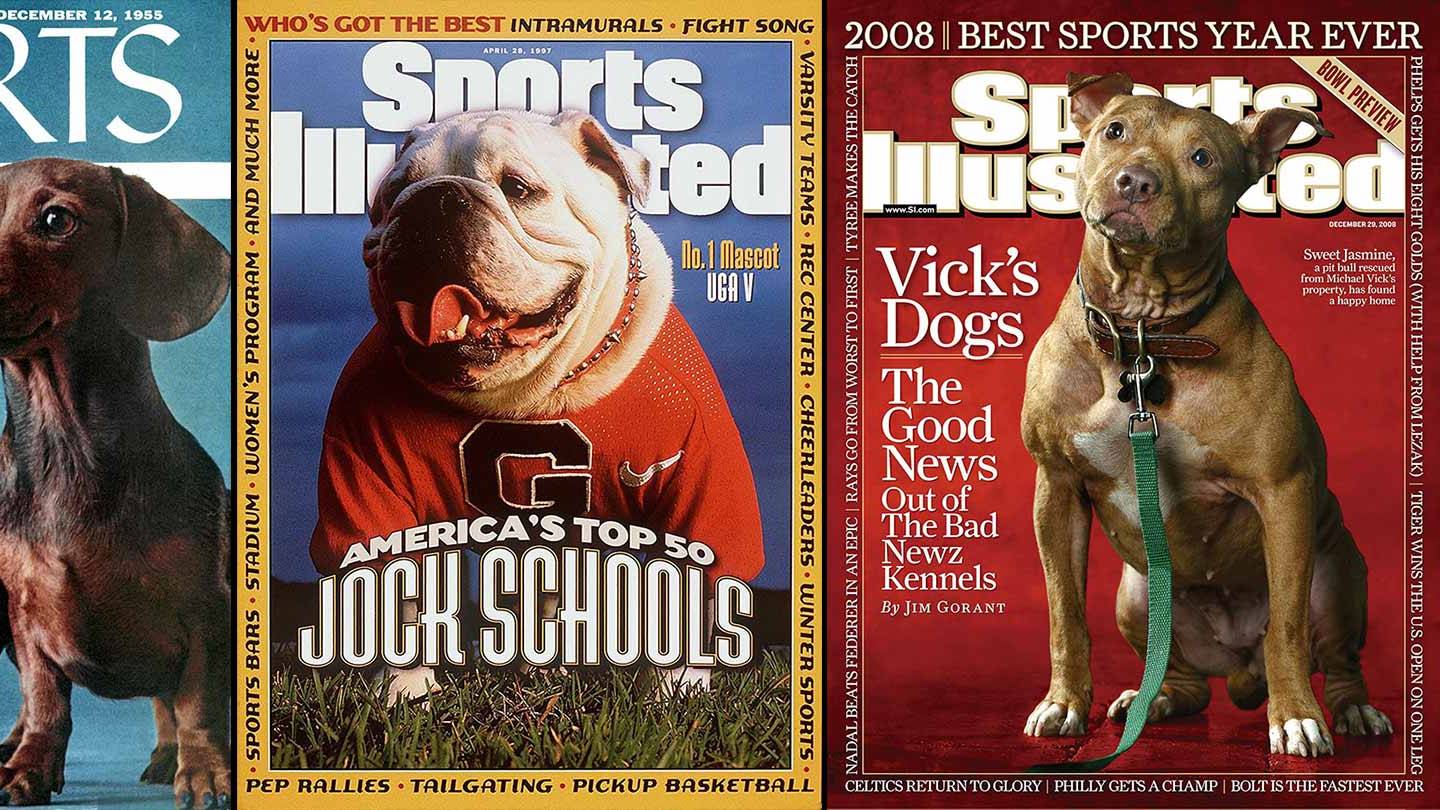 1955年 洋書 ブルドック 犬の特集 Sports Illustrated Dogs on SI Covers