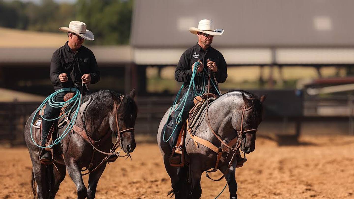 How Solo Select Horses Came To Be
