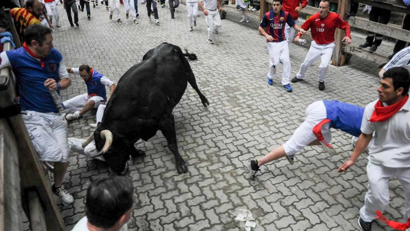 Man who wrote book on surviving The Running of the Bulls gored by bull