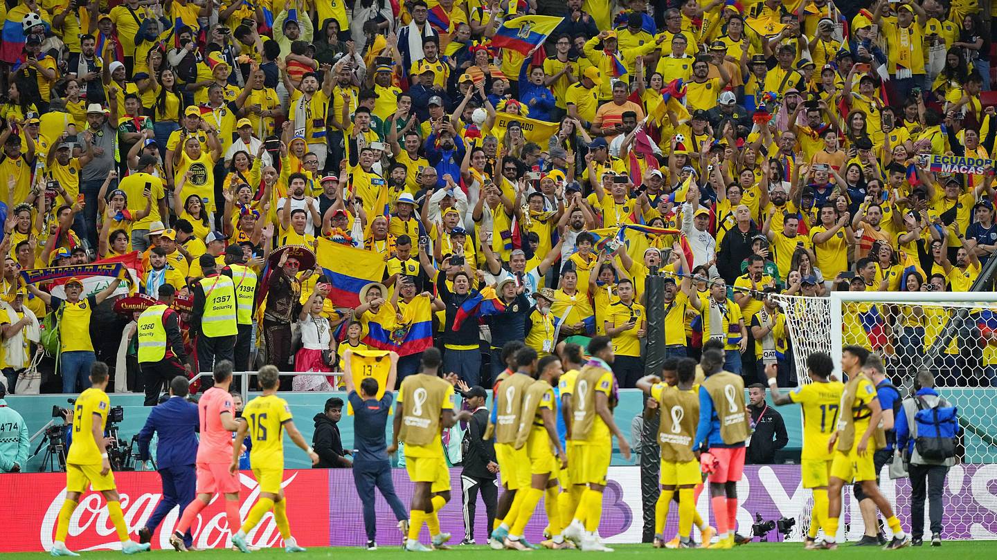 Gorgeous Ecuador To Cut Beer Prices 20% In World Cup Show Of ‘support’ Artwork Concept Gorgeous Ecuador To Cut Beer Prices 20% In World Cup Show Of ‘support’ Artwork Concept