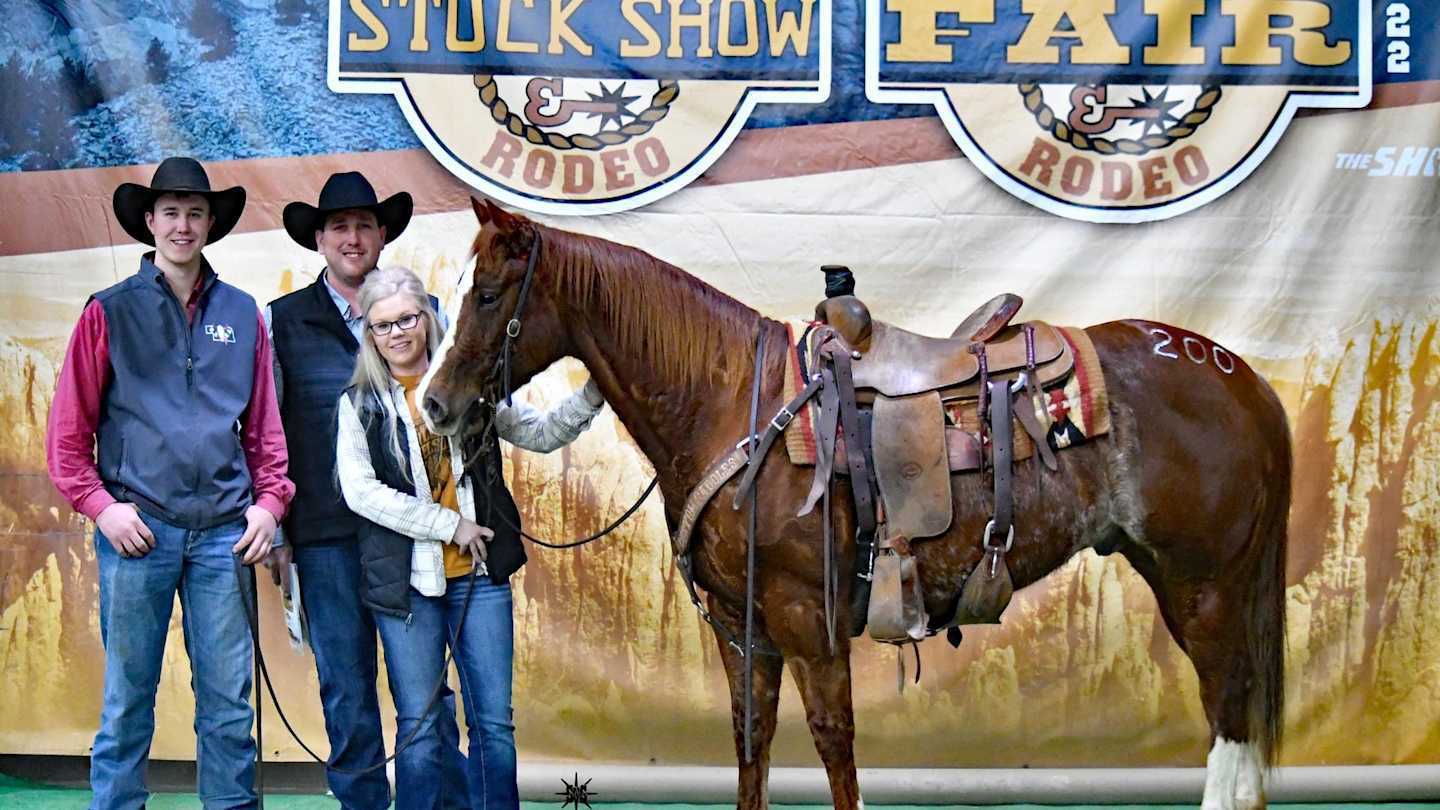 Black Hills Stock Show Horse Sale Anticipating RecordBreaking Success