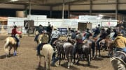 Royal Crown Futurity Brings Out the Best Young Horses in the Game