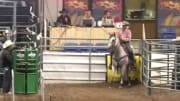 Kirchenschlager & A Painted Sunshine Win Futurity Heading at ARHFA Arizona Sun Circuit