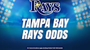 Tampa Bay Rays MLB Odds: Latest Betting on World Series, Playoffs & Futures