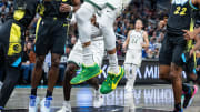 Giannis Antetokounmpo's Sneakers Show Love to Oregon Ducks