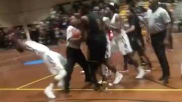 This Outrageous Flop Is Nothing Short of Pure Art