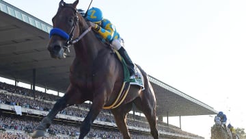 American Pharoah buries decades of Triple Crown failure with Belmont win