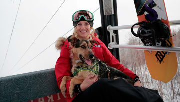 Catching up with the dogs of Sochi