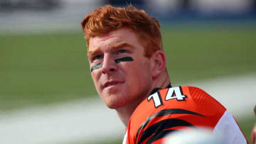 The Rise of the Bengals ... and an Inevitable Fall?